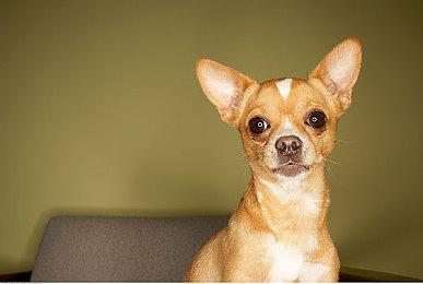 《暗黑破坏神2：重制版》刺客死灵法师演示 风采依旧